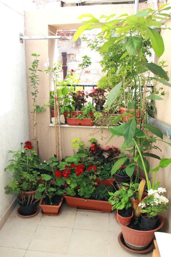 Apartment Bucevic Sibenik Exterior photo